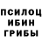 Псилоцибиновые грибы Psilocybine cubensis LoxGoldst