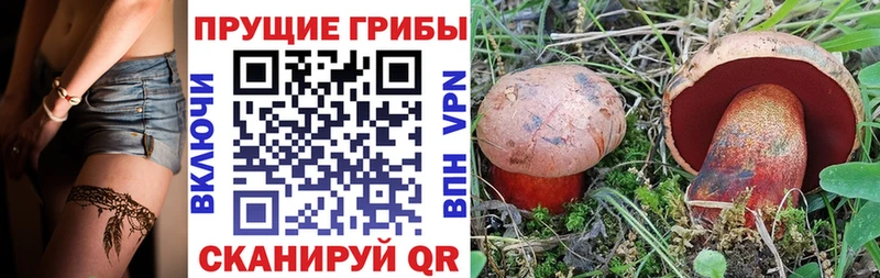 Псилоцибиновые грибы мухоморы  Ногинск 
