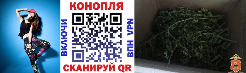 где купить наркоту Ногинск hydra ССЫЛКА Марихуана MAZAR